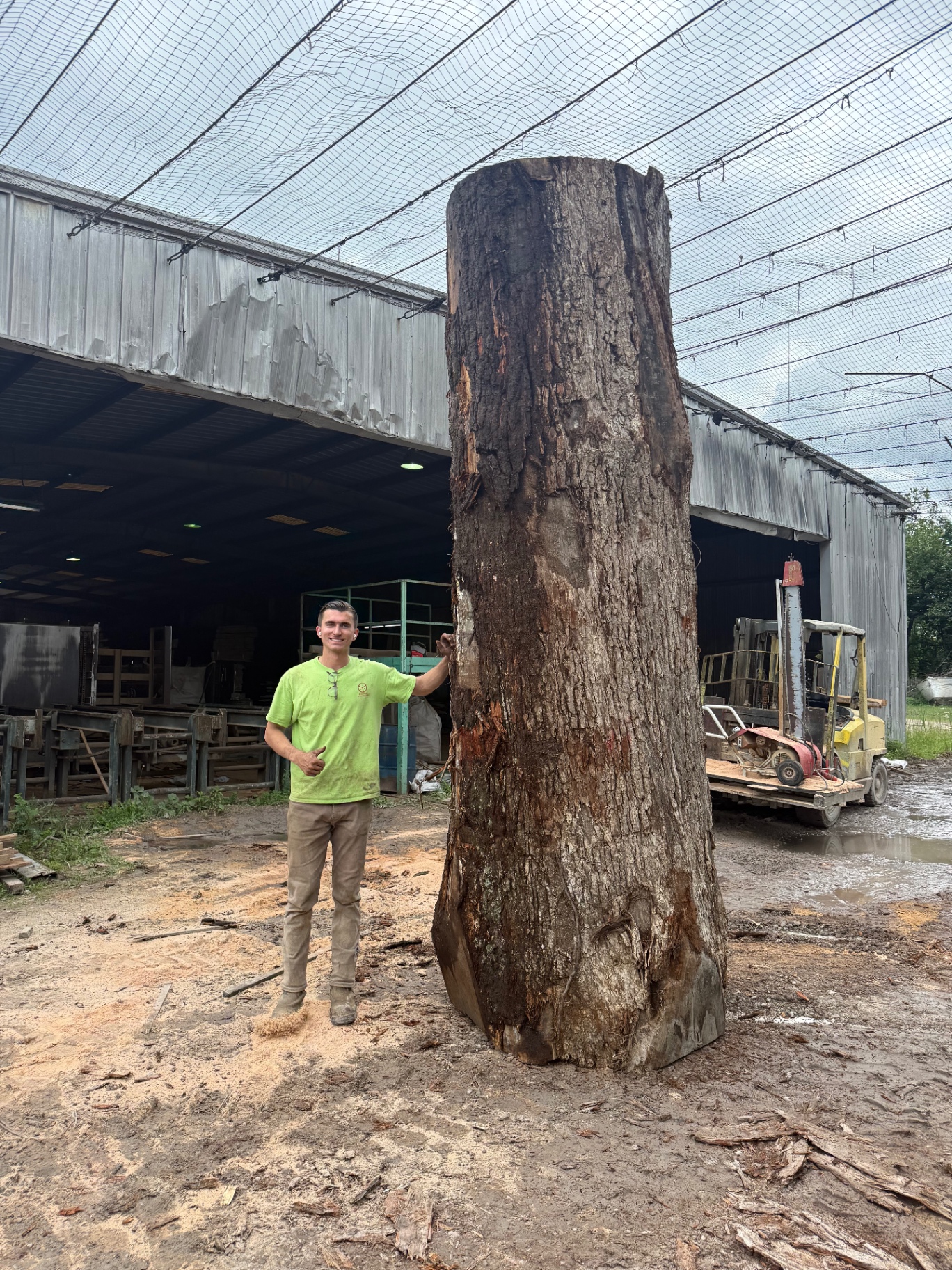 Log Selection